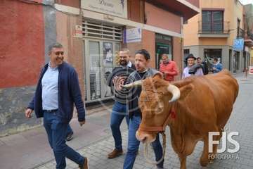 El alcalde de Telde se va con 'Rosita' (Foto TA)